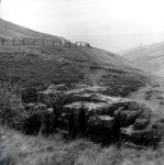 Buttertubs